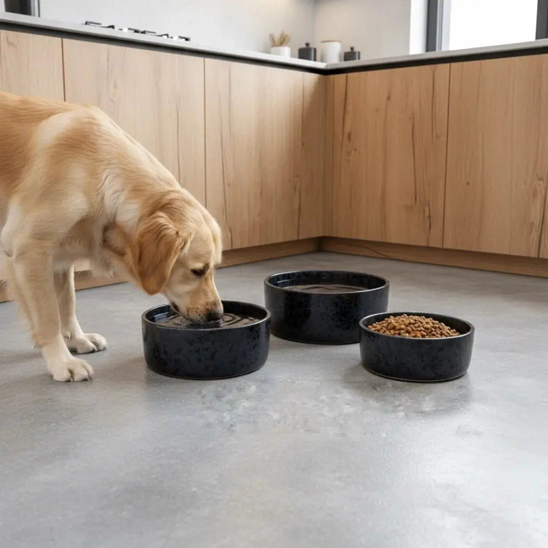 Είδη-Κατοικιδίων Phos & Gaia