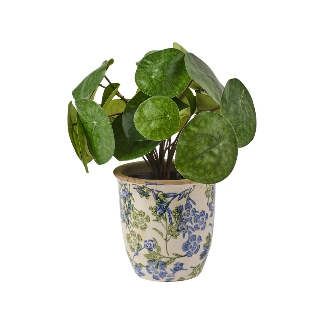 Κασπώ ANITA | Κεραμικό Με Γυαλιστερό Φινίρισμα Phos & Gaia