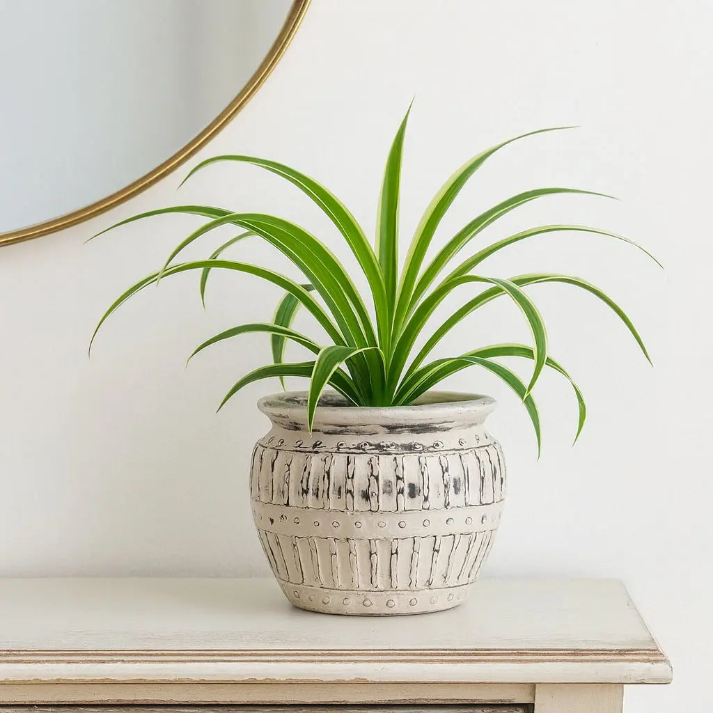 Κασπώ Greek Retro | Χειροποίητο με Ανάγλυφη Υφή Phos & Gaia