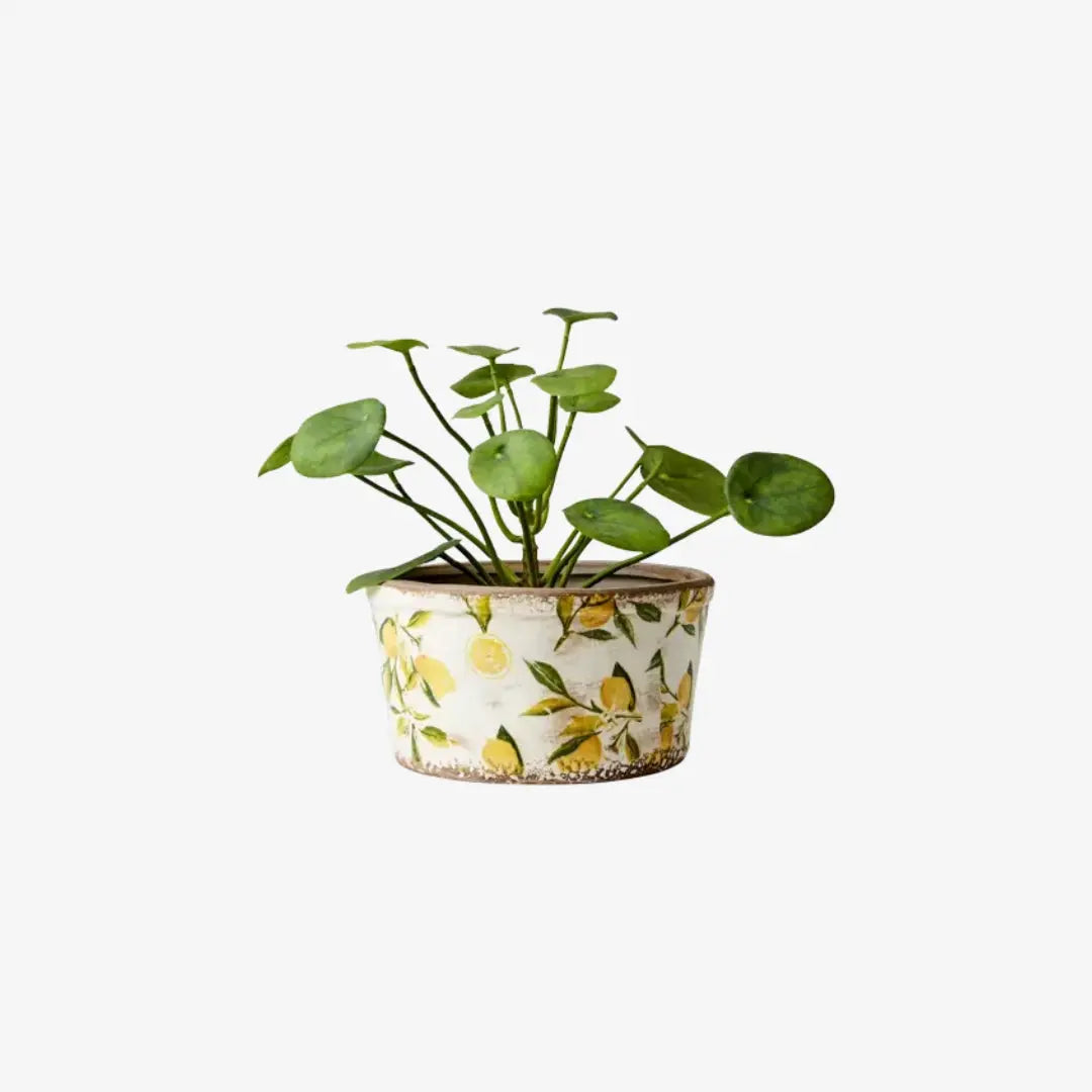 Κασπώ LEMONA από stoneware με διακοσμητικό μοτίβο λεμονιών - Phos & Gaia