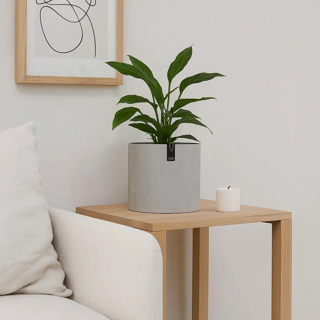 Κασπώ Tokyo | Χειροποίητο με Υφή Τσιμέντου Phos & Gaia