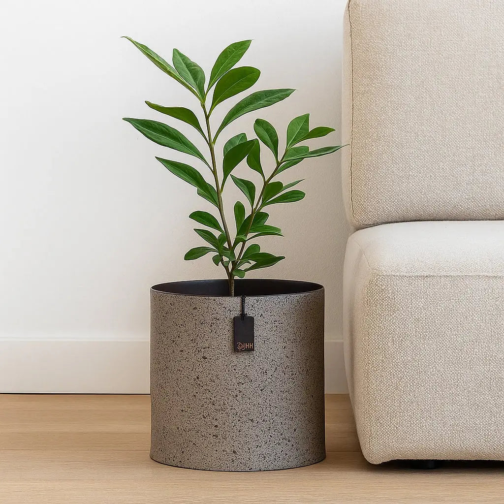 Κασπώ Granite | Χειροποίητο με Εφέ Πέτρας Phos & Gaia