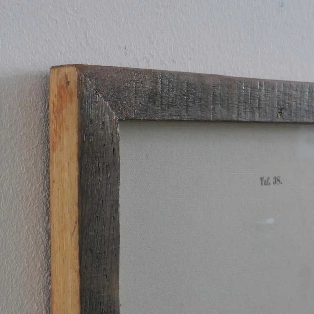 Λεπτομέρεια ξύλινης κορνίζας τοίχου με rustic φινίρισμα και γυάλινο κάλυμμα - Phos & Gaia