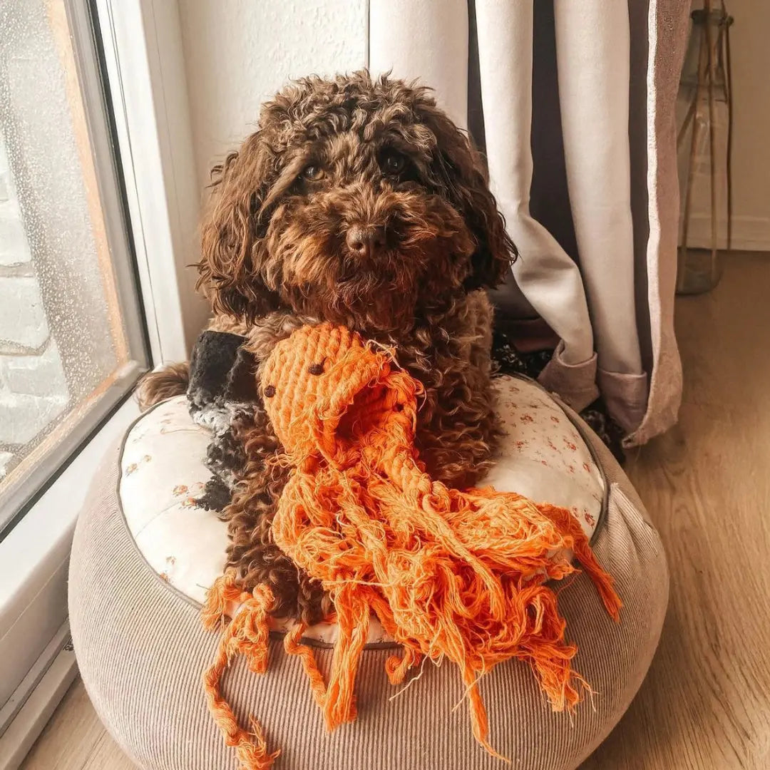 Παιχνίδι Σκύλου Squidward | Με Πλεκτά Πλοκάμια για Μάσημα Phos & Gaia