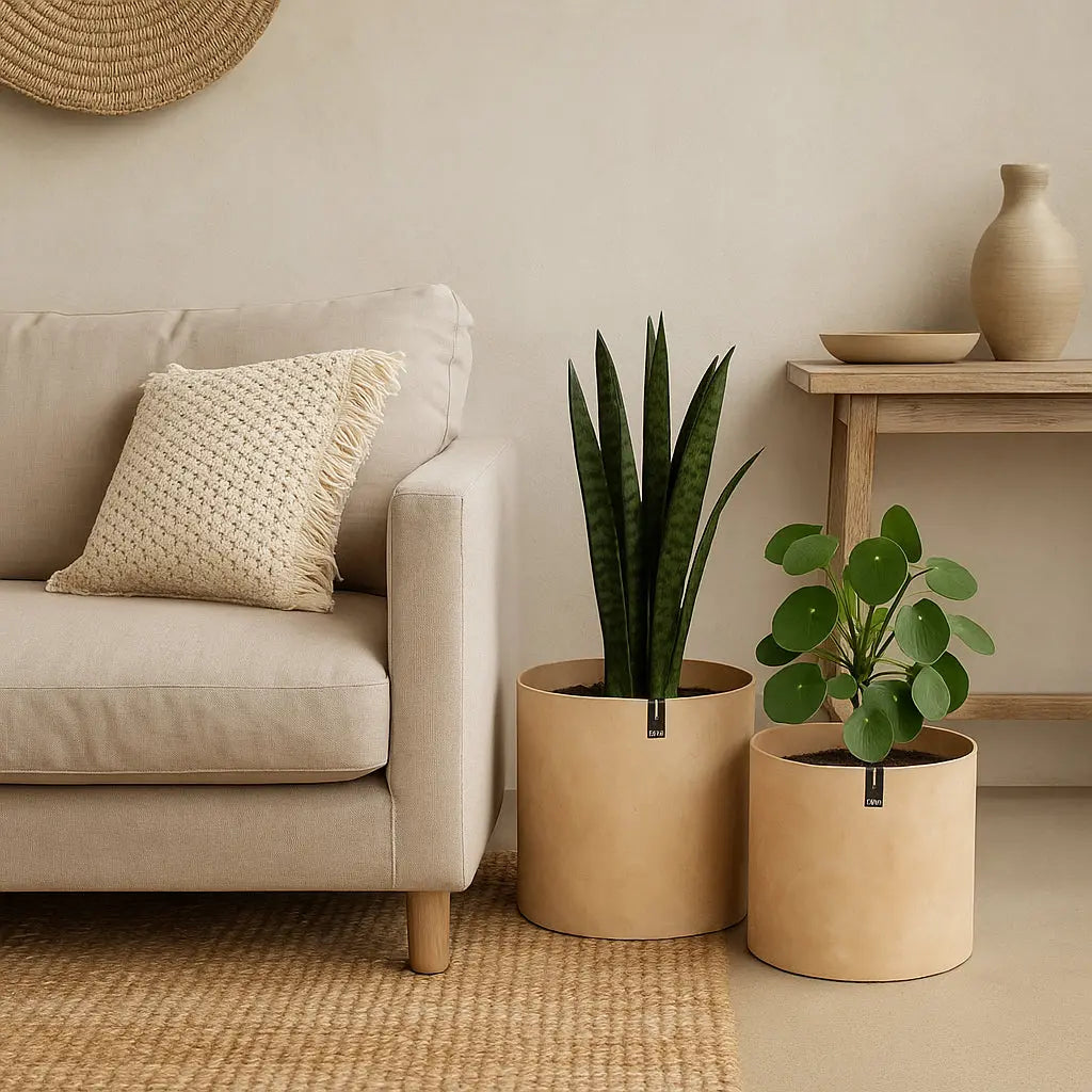 Σετ Κασπώ Tokyo | Χειροποίητα από Ανακυκλωμένο Χαρτί (2 τμχ) Phos & Gaia